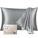 Warmstar シルク 枕カバー 6A クラス シルク100% 22匁 片面シルク ピローケース 43x63cm 洗える 封筒式 抗菌防臭 まくらカバー 美肌...