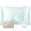 Warmstar シルク 枕カバー 6A クラス シルク100% 22匁 片面シルク ピローケース 43x63cm 洗える 封筒式 抗菌防臭 まくらカバー 美肌...