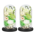 YKFN お供え プリザーブドフラワー 仏壇用 仏花 お悔やみの花 初盆の花 お供え花 生花 菊花 カラスドーム 薔薇 ローズ ledライト付き アレンジメント...