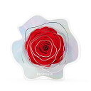 ROSEONLY プリザーブドフラワー デスティニーローズタンブラー 星雲型のタンブラーインフィニティローズ 誕生日プレゼント、バレンタインデー、クリスマス、母の日、記念日