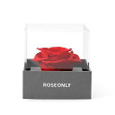 ROSEONLY プリザーブドフラワーボックス デスティニーローズ 本物のローズ 花 誕生日 母の日 記念日 バレンタインデー 告白 プロポーズ 卒業 退職のプ...