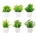 WillingYou フェイクグリーン 6点セット 観葉植物 人工観葉植物 造花 インテリア お世話不要 プレゼント 手のひらのサイズ