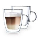 XM MX ダブルウォールグラス (2個セット) 電子レンジOK 断熱 保温 保冷 タンブラー パヴィーナ 350ML (350ML(取っ手付))