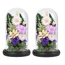 YKFN お供え プリザーブドフラワー 仏壇用 仏花 お悔やみの花 菊花 カーネーション 初盆の花 お供え花 生花 カラスドーム ledライト付き アレンジメン...