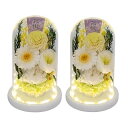 YKFN お供え プリザーブドフラワー 仏花 1対 仏壇用 ブリザードフラワー お供え花 生花 お供え 仏花ドーム 枯れない花 菊 白 薔薇 バラ カーネーショ...