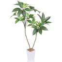 人工観葉植物 フェイクグリーン ツピダンサス 100CM 造花 観葉樹 光触媒 空気清浄 消臭抗菌 室内