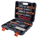 LEONTOOL 木工ノミセット 10本組 木工用ノミセット 木彫りノミセット 木彫刻用ノミセット 木工用のみ 6mm 13mm 19mm 25mm 32mm ...