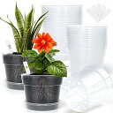 透明プランター 5号 植木鉢 15個セット、 排水穴 鉢底ネット 受け皿付き、観葉植物 多肉 サボテン用 プラ鉢、根腐れ防止 繰り返し使用可能 初心者にも対応