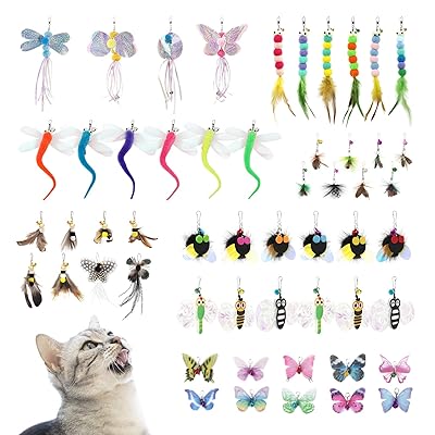 SONGWAY ǭ   ͤ餷   52ĺ罸 ǼȢդ