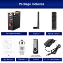 送料無料 真空管オーディオアンプ,Bluetoothプリアンプデコーダー,USB dac,同軸,rca入力,Hifi,ヘッドフォンアンプ,AIYIMA-T8