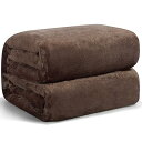 Hansleep 毛布 セミダブル 夏用 ブランケット 160x200cm 茶色 マイクロファイバー 柔らかく フランネル 洗える 軽量 静電防止 四季適用 (160x200,ブラウン)