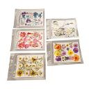 押し花 5 袋 多目的アソートスタイル カラフルなドライフラワー (タイプ1)
