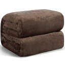 Hansleep 毛布 シングル 夏用 ブランケット 100x140cm ブラウン マイクロファイバー 柔らかく肌触り フランネル 洗える 静電防止 四季適用 (100x140,ブラウン)