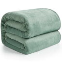 Hansleep 毛布 シングル 夏用 ブランケット 100x140cm カルダモングリーン マイクロファイバー 柔らかく肌触り フランネル 洗える 静電防止 四季適用 (100x140,カルダモングリーン)