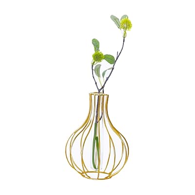 ガラス製 ミニ花器 金属枠 水耕栽培花瓶 フラワーベース 一輪挿し 水栽培 ガラス管 おしゃれ ガーデニング （透明 金色）