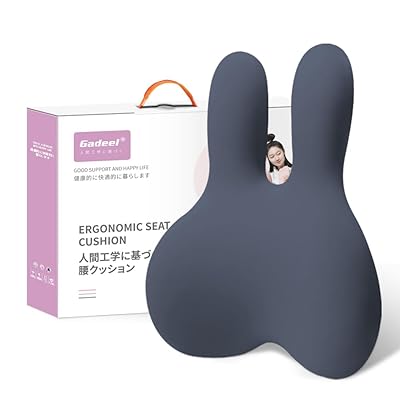 Gadeel 腰痛クッション 低反発 ランバーサポート 背もたれクッション 人間工学 通気性 かわいいリラックスクッション 取付バンド調節可能 カバー洗える 使用場所 オフィス/車中/自宅/プレゼント用(ネイビー)