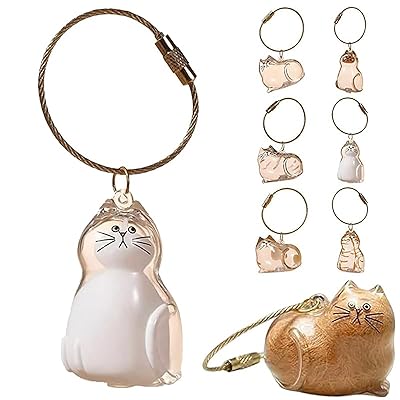 WoLraYuan 猫の毛 収納 キーホルダー 透明 ペット毛玉入れ (6個セット)