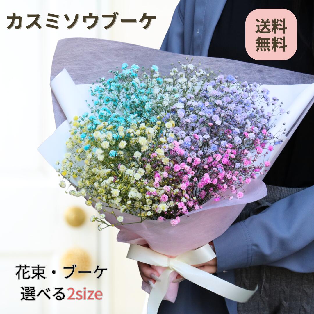 かすみ草 花束 カスミソウ ブーケ 花束 かすみそう レインボー カスミソウのブーケ かすみそうのブーケ ドライフラワー 送料無料 誕生日 お誕生日 インスタ映え Instagram インスタグラム 退職 送別 記念日 誕生日 プレゼント 結婚 サイズが選べる
