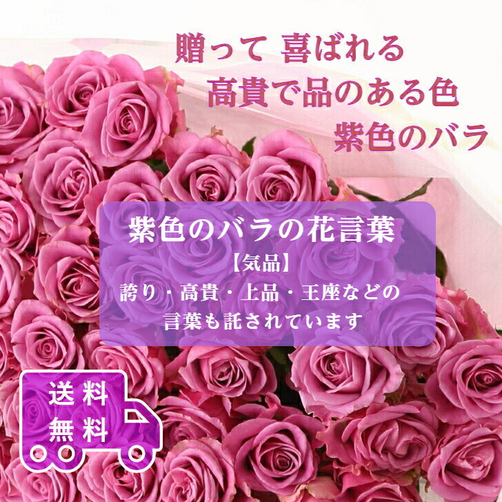 バラ 花束 紫色バラ 【送料無料】 バラ 薔薇 生花 花束 赤バラ ピンクバラ 紫バラ 紫色 ギフト お祝い 薔薇 20本 30本 50本 60本 70本 77本 80本 88本 99本 100本 誕生日 結婚記念日 敬老の日 長寿 喜寿 米寿 御祝 クリスマス 成人式 バレンタイン ホワイトデー 2