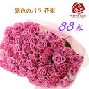 バラの花束 紫色バラ 【送料無料】 バラ 薔薇 生花 花束 赤バラ ピンクバラ 紫バラ 紫色 ギフト お祝い 薔薇 20本 30本 50本 60本 70本 77...