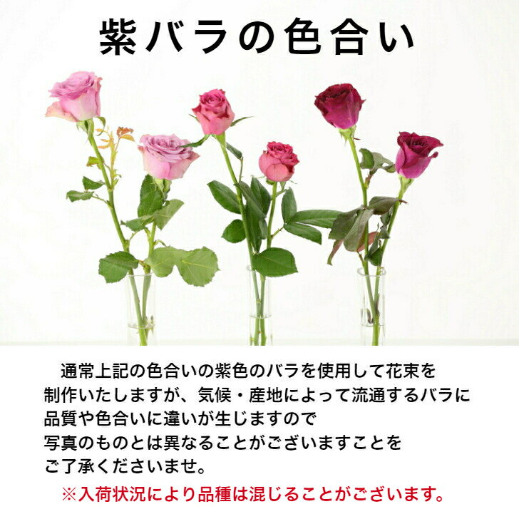 バラ 花束 紫色バラ 【送料無料】 バラ 薔薇 生花 花束 赤バラ ピンクバラ 紫バラ 紫色 ギフト お祝い 薔薇 20本 30本 50本 60本 70本 77本 80本 88本 99本 100本 誕生日 結婚記念日 敬老の日 長寿 喜寿 米寿 御祝 クリスマス 成人式 バレンタイン ホワイトデー 3