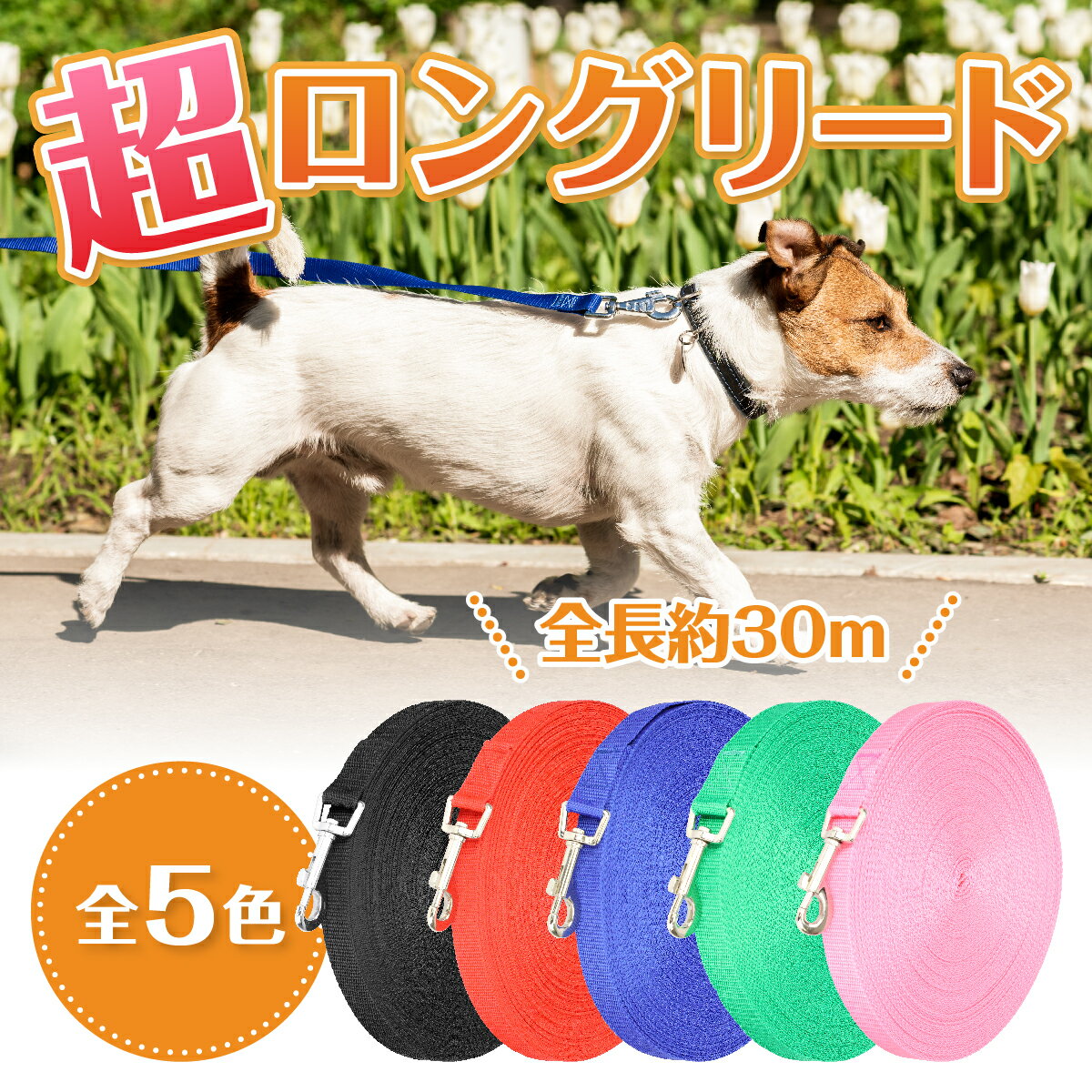 【5色から選べる】犬用リード ロングリード 30m 散歩 
