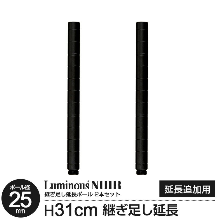 ラック パーツ ポール 延長ポール 柱 支柱 2本セット 高さ30 ルミナス ノワール ポール径25mm おしゃれ..