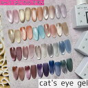 【☆大流行中です☆】 cat`s eye gel 全21色 単品 10ml マグネットジェル ネイル ジェルネイル マグネットネイル ネイルアート キャッツアイ キャットアイ ギャラクシー 磁石ネイル シアカラー