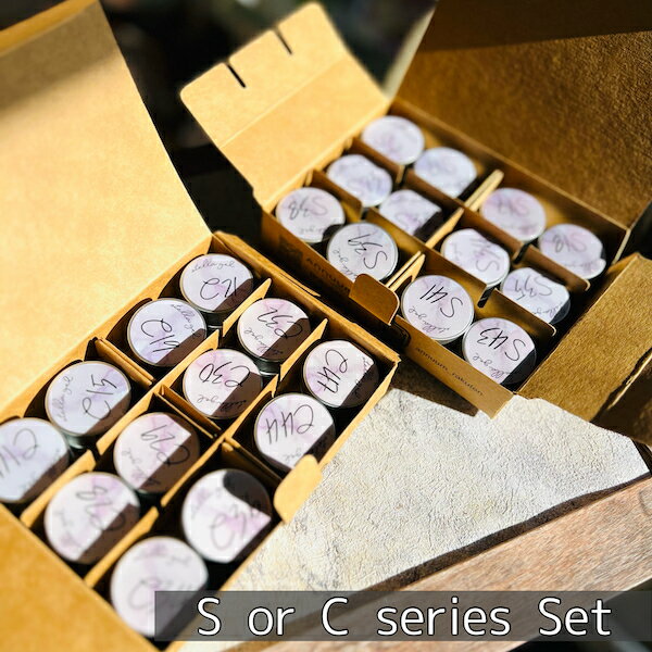 [stella gel S or C���꡼�� 12�����å� ]������ ���顼������