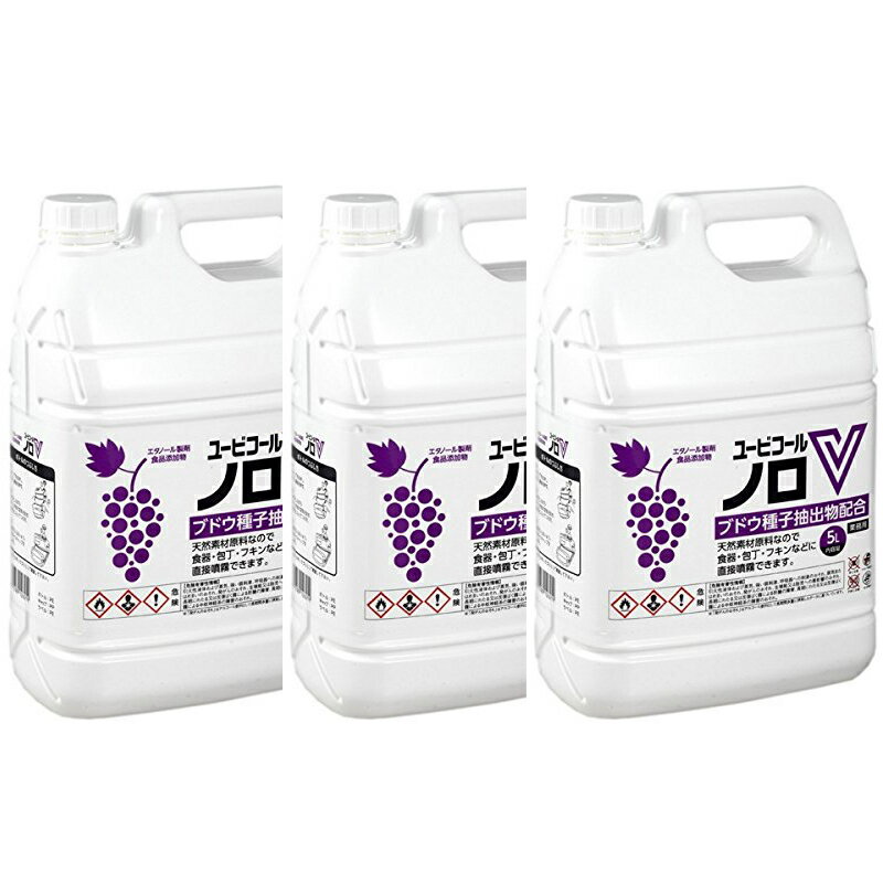 多用途消毒液5L×3本+1Lプッシュボトル付（ユービコールノロV）