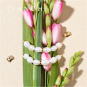 【50%OFFクーポン使える☆5/9-5/16迄】【フォーマルママ☆アクセサリー】ウォーターパールフックピアス【レディース アクセサリー イヤリング ピアス シ...