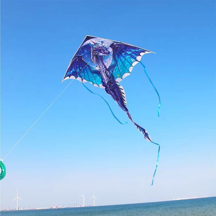 ANOMALYの龍 タコ揚げ 凧揚げ 紙鳶 凧上げ カイト おもちゃ 玩具 おもちゃ ドラゴン 外遊び オモチャ 龍 外遊び 凧 レジャー スポーツトイ 玩具 アウトドア 微風で揚がる 子供 子ども こども 送料無料 プレゼント｜アングル2