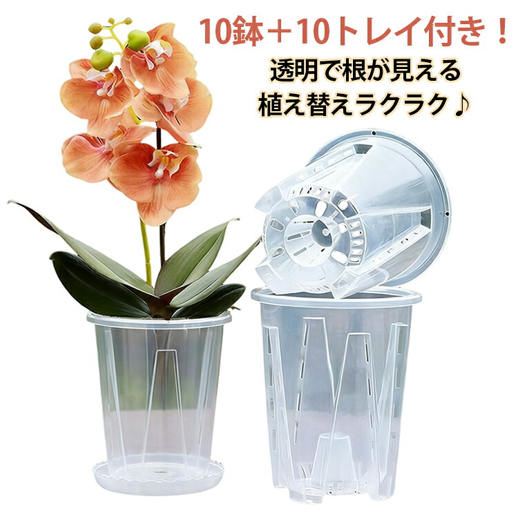 10鉢セット（植木鉢＋受皿）/胡蝶蘭用植木鉢。鉢底とサイドに穴がたくさん空いているため通気性に優れています。鉢の中についた柱は胡蝶蘭の根腐れを防止できます。観葉植物の植え替えにお勧め。透明なので、生育中の根の動きが見える。水の乾き具合も外から確認でき、水やりの悩みが解消されます。胡蝶蘭だけでなく、多肉植物、アデニウムなど観葉植物の植え替えにもお勧め。 サイズ 10(上10×高12×下7.5cm) 12(上12×高14×下9cm) 14(上14×高16×下10.5cm) 16(上16×高18×下12cm) サイズについての説明 サイズ：10(上10×高12×下7.5cm) / 12(上12×高14×下9cm) / 14(上14×高16×下10.5cm) / 16(上16×高18×下12cm) 素材 樹脂 色 10鉢セット 備考 ●サイズ詳細等の測り方はスタッフ間で統一、徹底はしておりますが、実寸は商品によって若干の誤差(1cm～3cm )がある場合がございますので、予めご了承ください。 ●製造ロットにより、細部形状の違いや、同色でも色味に多少の誤差が生じます。 ●パッケージは改良のため予告なく仕様を変更する場合があります。 ▼商品の色は、撮影時の光や、お客様のモニターの色具合などにより、実際の商品と異なる場合がございます。あらかじめ、ご了承ください。 ▼生地の特性上、やや匂いが強く感じられるものもございます。数日のご使用や陰干しなどで気になる匂いはほとんど感じられなくなります。 ▼同じ商品でも生産時期により形やサイズ、カラーに多少の誤差が生じる場合もございます。 ▼他店舗でも在庫を共有して販売をしている為、受注後欠品となる場合もございます。予め、ご了承お願い申し上げます。 ▼出荷前に全て検品を行っておりますが、万が一商品に不具合があった場合は、お問い合わせフォームまたはメールよりご連絡頂けます様お願い申し上げます。速やかに対応致しますのでご安心ください。