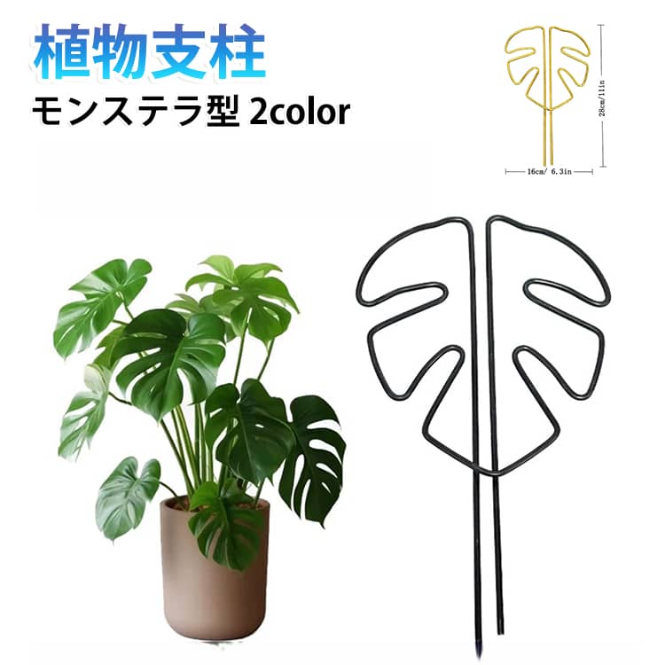 観葉植物の成長をサポートしながら、インテリアとしても楽しめるモンステラ型の植物支柱です。植物の茎や葉を支えながら、おしゃれに仕立てることができます。差し込んで茎に添わせるだけ。工具不要で手軽に設置できます。モンステラをイメージした葉っぱのシルエットが特徴。植物と組み合わせることで、鉢植えのグリーンをより印象的に見せてくれます。植物の茎や枝を支えたり、伸びる方向を整えたりする際に便利。観葉植物を好みの形に仕立てたいときにも活躍します。モンステラ、ポトス、アイビーなどの観葉植物や、つる性植物のサポートにおすすめ。鉢植えと組み合わせて使用できます。 サイズ F サイズについての説明 サイズ：16×28cm※サイズ表記は参考値となります。若干の個体差が生じる場合がございます。予めご了承ください。 素材 鉄 色 ゴールド ブラック 備考 ●サイズ詳細等の測り方はスタッフ間で統一、徹底はしておりますが、実寸は商品によって若干の誤差(1cm～3cm )がある場合がございますので、予めご了承ください。 ●製造ロットにより、細部形状の違いや、同色でも色味に多少の誤差が生じます。 ●パッケージは改良のため予告なく仕様を変更する場合があります。 ▼商品の色は、撮影時の光や、お客様のモニターの色具合などにより、実際の商品と異なる場合がございます。あらかじめ、ご了承ください。 ▼生地の特性上、やや匂いが強く感じられるものもございます。数日のご使用や陰干しなどで気になる匂いはほとんど感じられなくなります。 ▼同じ商品でも生産時期により形やサイズ、カラーに多少の誤差が生じる場合もございます。 ▼他店舗でも在庫を共有して販売をしている為、受注後欠品となる場合もございます。予め、ご了承お願い申し上げます。 ▼出荷前に全て検品を行っておりますが、万が一商品に不具合があった場合は、お問い合わせフォームまたはメールよりご連絡頂けます様お願い申し上げます。速やかに対応致しますのでご安心ください。