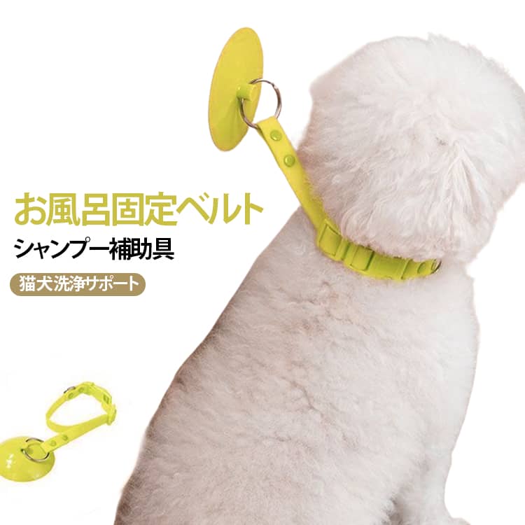 【お風呂中の動きをサポート】シャンプー時のペットの動きをサポートする固定ベルト。両手を使いやすくなり、洗浄やお手入れがよりスムーズに行えます。【強力吸盤で簡単設置】吸盤式デザインで、平らで滑らかな壁面や浴室などに取り付け可能。工具不要で簡単に設置・取り外しできます。【シングル吸盤・ダブル吸盤選択可能】使用環境やペットの大きさに合わせて選べる2タイプ。必要に応じた固定力でシャンプー時間をサポートします。【美容ケアに便利】シャンプー、ブラッシング、爪切り、日常のお手入れなど、さまざまなペットケアシーンで活躍します。【ペットに配慮した装着感】首周りに合わせて調整しやすいベルトタイプ。やさしくフィットし、快適に使用できる設計です。【コンパクトで使いやすい】使用後は取り外して収納できる省スペース設計。家庭でのペットケア用品として手軽に取り入れられます。【猫・犬対応】猫、小型犬などのシャンプーやお手入れ補助におすすめ。自宅でのペット美容をより快適にサポートします。 サイズ シングル吸盤 ダブル吸盤 サイズについての説明 吸盤直径： 80mmリード全長： 470mmシングル吸盤タイプ： おすすめ使用体重6kg以内ダブル吸盤タイプ： おすすめ使用体重12.5kg以内※サイズ表の実寸法は商品によって1-3cm程度の誤差がある場合がございます。 素材 シリコン ポリエステル 色 シャンプー補助具 備考 ●サイズ詳細等の測り方はスタッフ間で統一、徹底はしておりますが、実寸は商品によって若干の誤差(1cm～3cm )がある場合がございますので、予めご了承ください。 ●製造ロットにより、細部形状の違いや、同色でも色味に多少の誤差が生じます。 ●パッケージは改良のため予告なく仕様を変更する場合があります。 ▼商品の色は、撮影時の光や、お客様のモニターの色具合などにより、実際の商品と異なる場合がございます。あらかじめ、ご了承ください。 ▼生地の特性上、やや匂いが強く感じられるものもございます。数日のご使用や陰干しなどで気になる匂いはほとんど感じられなくなります。 ▼同じ商品でも生産時期により形やサイズ、カラーに多少の誤差が生じる場合もございます。 ▼他店舗でも在庫を共有して販売をしている為、受注後欠品となる場合もございます。予め、ご了承お願い申し上げます。 ▼出荷前に全て検品を行っておりますが、万が一商品に不具合があった場合は、お問い合わせフォームまたはメールよりご連絡頂けます様お願い申し上げます。速やかに対応致しますのでご安心ください。