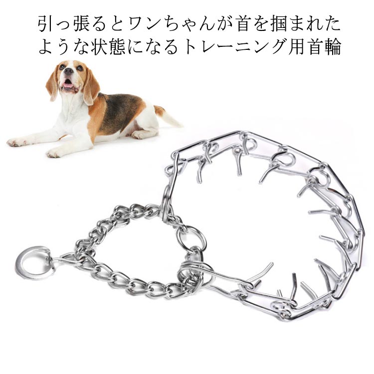 引っ張り防止のしつけに犬引っ張り防止首輪しつけ訓練トレーニング首輪イヌいぬしつけ用カラーチェーンカラ