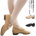ダンスシューズ バレエシューズ ジャズダンス フィットネス シューズ 大人 レディース キッズ ストレッチ メッシュ 体操 ヒップホップ チアダンス ズンバ 穴付き 蒸れにくい チアの練習用(4)