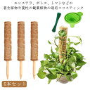 ココスティック ココスティック ココナッツ 5本セット ポトス ガーデニング 植物 植物サポート 植物支柱 観葉植物 支柱 支柱 ガーデニング用 モンステラ 花...