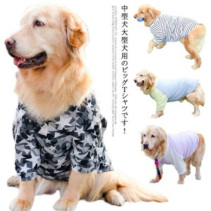 春夏に最適な超大型犬用！おしゃれでかわいい犬用の服のおすすめを教えて！