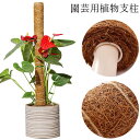 植物支柱 植物サポート 園芸用 ココナッツ支柱 モンステラ 支柱 観葉 植物 支柱 ココナッツパームスティック 植物 棚 天然 ココナッツ支柱 給水 フラワース...