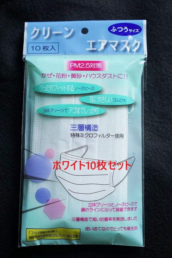 【ポイント 6倍 (最大) 】マスク 常備用 大人用 複数枚 今すぐ必要な方に 白 10枚セット ホワイト お得 大人用 使い捨て 大きめサイズ 医療用 サージカルマスク ウイルス ウイルス対策 衛生 大人 三次元 プリーツ