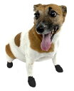 【ポイント3倍】 Paws ポウズ ラバー ドッグ ブーツ パウ パウズ 肉球 保護 防水 ブラック XSサイズ 小型犬 中型犬 12枚 天然ゴム 犬 靴下 靴