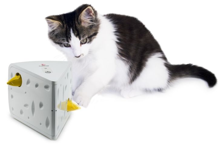 楽天あのーる・ぽー【ポイント5倍】（最大） 猫 ネコ おもちゃ 玩具 自動 電動 動くねずみ チーズ フローリーキャット 一人遊びモードもあり 自動電源off