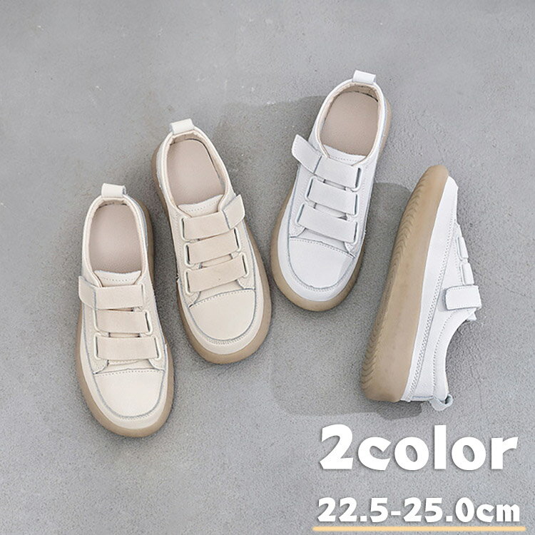 スニーカー 白 キッズ 女の子 男の子 レディース 韓国 スポーツ 春夏秋冬 ベージュ 学生 通勤 通学 レ..
