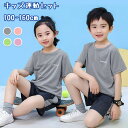 激安 スポーツウェア キッズ tシャツ ジュニア 女の子 男の子 半袖 吸汗速乾 tシャツ カットソー 上下セット 春夏 ジャージ 生地 シャツ スポーツウェア...