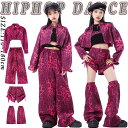 韓国 jazz ヒョウ柄 ローズ ジャケット カジュアルパンツ レッグウォーマー キッズ ダンス衣装 セットアップ 上下セット おしゃれ 女の子 かわいい へそ出し 豹柄 ダンスウエア ヒップホップ ジャズダンス k-pop 舞台服 演出服 練習着 団体服 発表会 個性派 派手 春 夏 秋 冬