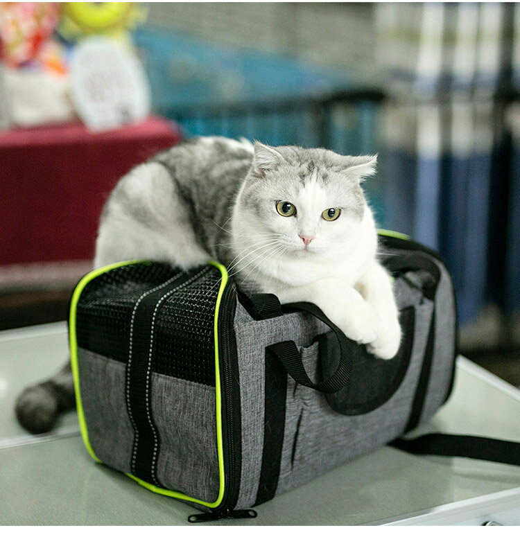 ペットキャリーバッグペットキャリー猫犬リュックドライブボックス
