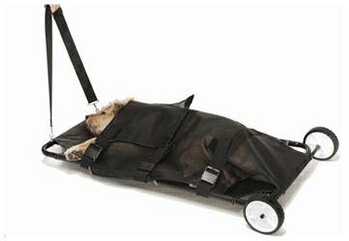 ANS 40 �ڥå���ô��