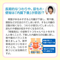 最大P7倍【今スグ300〜2400円引券有&540円おまけ付】トコちゃんベルト2L送料無料H88〜100cmab【青葉正規品】骨盤ケア2lll【あす楽/腰痛/楽ギフ包装選択/HLSDU/RCP】ガードル骨盤ベルトとこちゃんベルト/下半身/妊活&産後ケア/グッズ