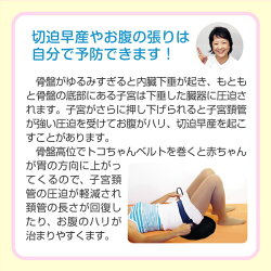 最大P7倍【今スグ300〜2400円引券有&540円おまけ付】トコちゃんベルト2L送料無料H88〜100cmab【青葉正規品】骨盤ケア2lll【あす楽/腰痛/楽ギフ包装選択/HLSDU/RCP】ガードル骨盤ベルトとこちゃんベルト/下半身/妊活&産後ケア/グッズ